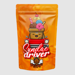 Sundae Driver A++++